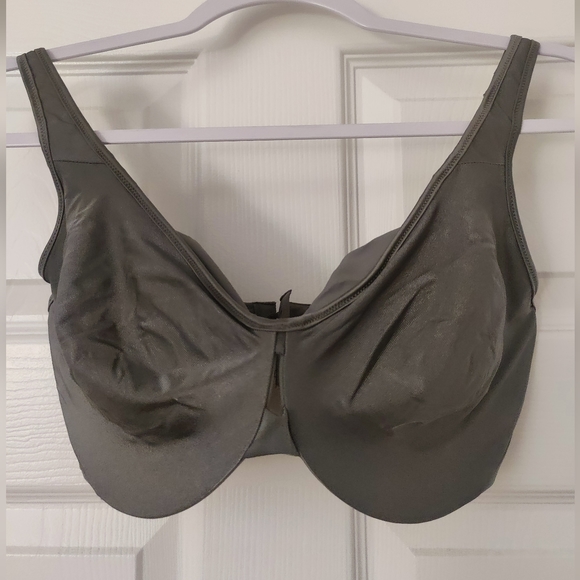 Lilyette Other - 36ddd or 36F NWOT Lilyette Bras